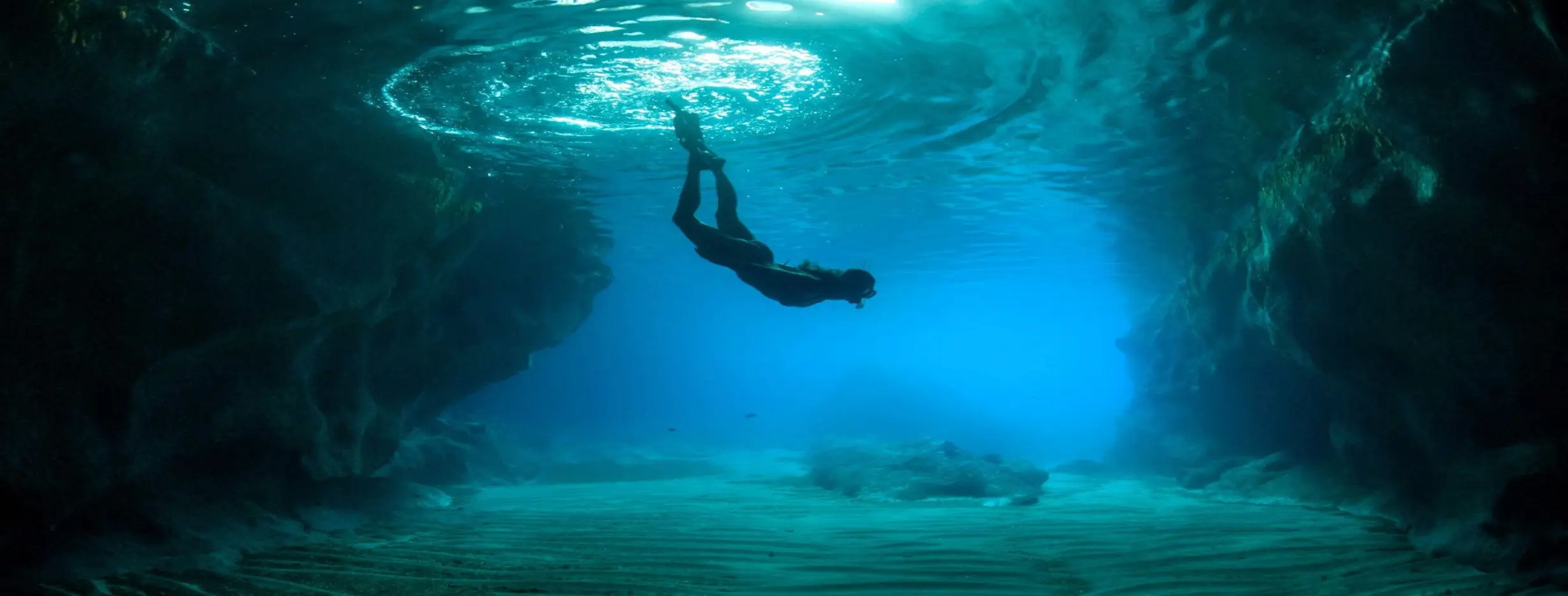 Image for Dive into the Underwater World